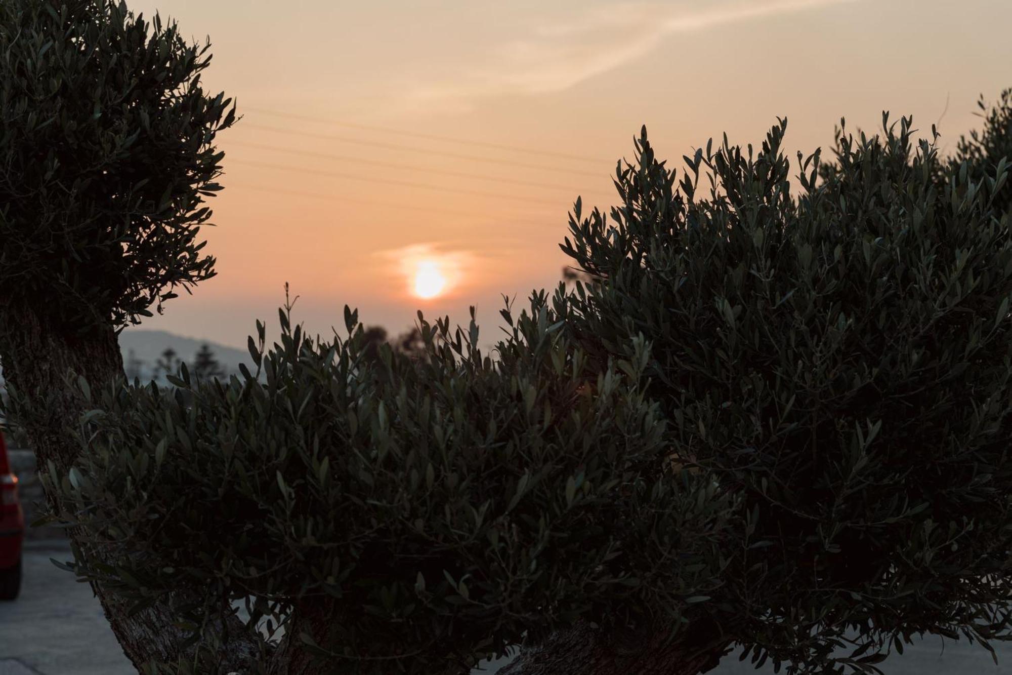 Mazera Boutique Hotel Mykonos Town エクステリア 写真